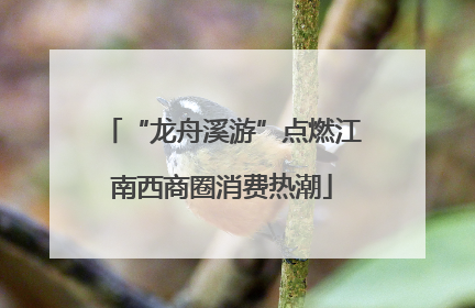 “龙舟溪游”点燃江南西商圈消费热潮
