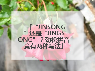 “JINSONG”还是“JINGSONG”？劲松拼音竟有两种写法