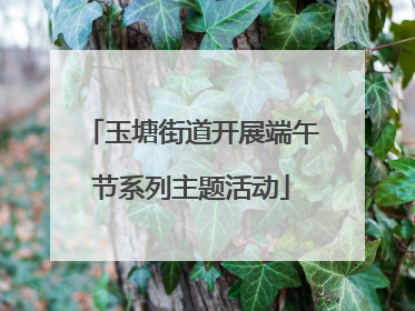 玉塘街道开展端午节系列主题活动
