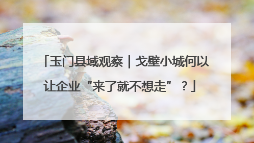 玉门县域观察｜戈壁小城何以让企业“来了就不想走”？