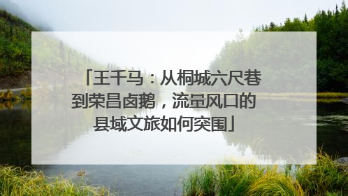 王千马：从桐城六尺巷到荣昌卤鹅，流量风口的县域文旅如何突围