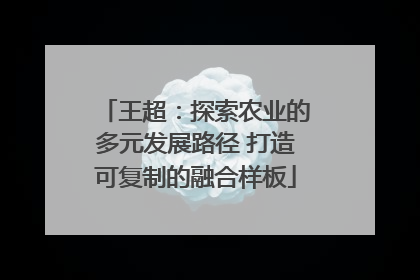 王超：探索农业的多元发展路径 打造可复制的融合样板