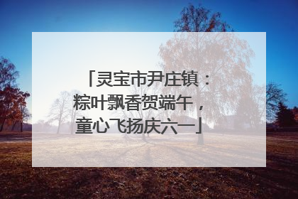 灵宝市尹庄镇：粽叶飘香贺端午，童心飞扬庆六一