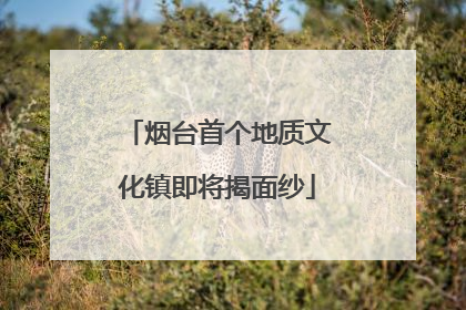 烟台首个地质文化镇即将揭面纱