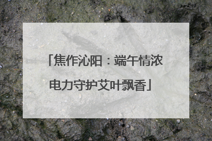 焦作沁阳：端午情浓 电力守护艾叶飘香