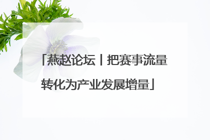燕赵论坛丨把赛事流量转化为产业发展增量