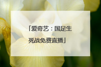 爱奇艺：国足生死战免费直播