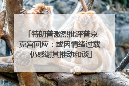 特朗普激烈批评普京 克宫回应：或因情绪过载 仍感谢其推动和谈