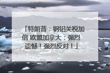 特朗普：钢铝关税加倍 欧盟加拿大：强烈遗憾！强烈反对！