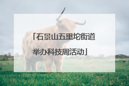 石景山五里坨街道举办科技周活动