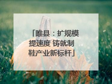 睢县：扩规模提速度 铸就制鞋产业新标杆