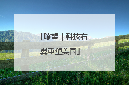 瞭望｜科技右翼重塑美国