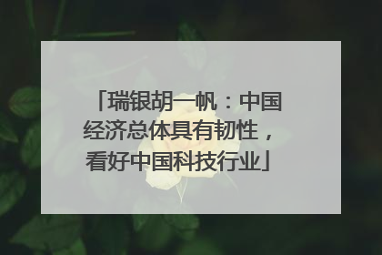瑞银胡一帆：中国经济总体具有韧性，看好中国科技行业