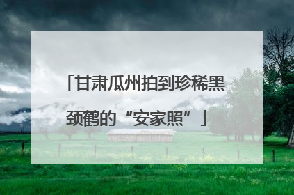 甘肃瓜州拍到珍稀黑颈鹤的“安家照”