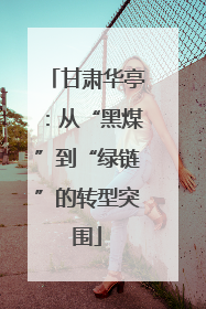 甘肃华亭：从“黑煤”到“绿链”的转型突围