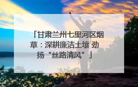 甘肃兰州七里河区烟草：深耕廉洁土壤 劲扬“丝路清风”