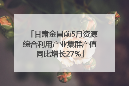 甘肃金昌前5月资源综合利用产业集群产值同比增长27%
