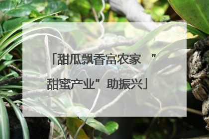 甜瓜飘香富农家 “甜蜜产业”助振兴