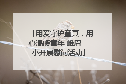 用爱守护童真，用心温暖童年 峨眉一小开展慰问活动
