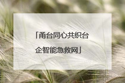 甬台同心共织台企智能急救网