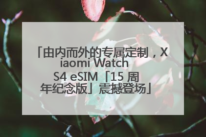 由内而外的专属定制，Xiaomi Watch S4 eSIM「15 周年纪念版」震撼登场
