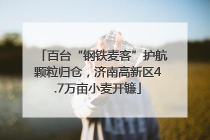 百台“钢铁麦客”护航颗粒归仓，济南高新区4.7万亩小麦开镰
