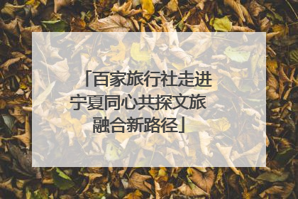 百家旅行社走进宁夏同心共探文旅融合新路径