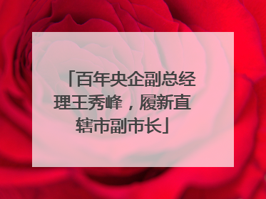 百年央企副总经理王秀峰，履新直辖市副市长