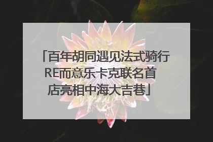 百年胡同遇见法式骑行 RE而意乐卡克联名首店亮相中海大吉巷