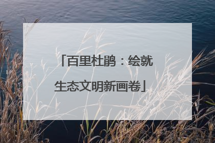 百里杜鹃：绘就生态文明新画卷