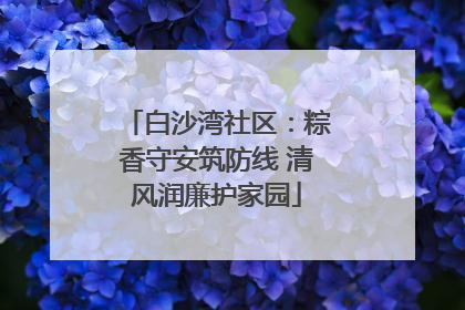 白沙湾社区：粽香守安筑防线 清风润廉护家园