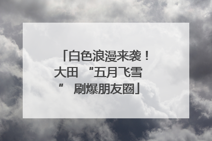 白色浪漫来袭！大田 “五月飞雪” 刷爆朋友圈