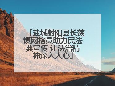 盐城射阳县长荡镇网格员助力民法典宣传 让法治精神深入人心