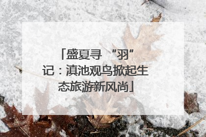 盛夏寻 “羽” 记：滇池观鸟掀起生态旅游新风尚