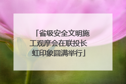 省级安全文明施工观摩会在联投长虹印象圆满举行