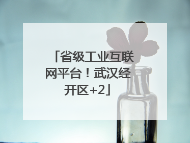 省级工业互联网平台！武汉经开区+2