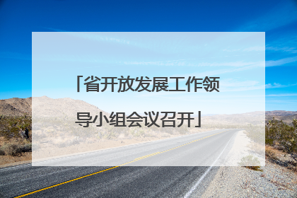 省开放发展工作领导小组会议召开