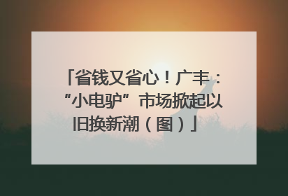 省钱又省心！广丰：“小电驴”市场掀起以旧换新潮（图）