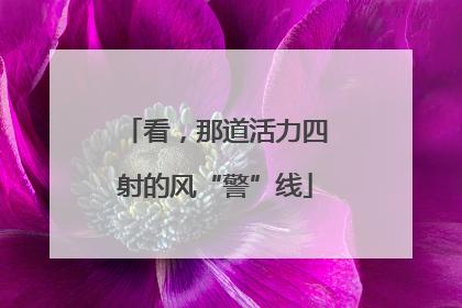 看，那道活力四射的风“警”线
