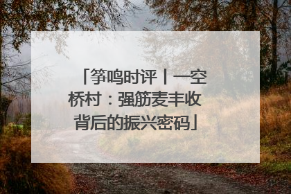 筝鸣时评丨一空桥村：强筋麦丰收背后的振兴密码