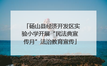 砀山县经济开发区实验小学开展“民法典宣传月”法治教育宣传