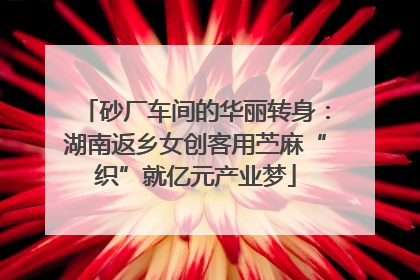 砂厂车间的华丽转身：湖南返乡女创客用苎麻“织”就亿元产业梦