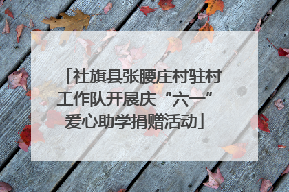 社旗县张腰庄村驻村工作队开展庆“六一”爱心助学捐赠活动