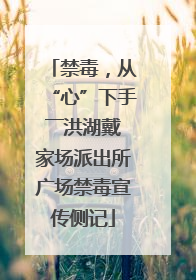 禁毒，从“心”下手――洪湖戴家场派出所广场禁毒宣传侧记