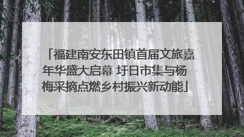 福建南安东田镇首届文旅嘉年华盛大启幕 圩日市集与杨梅采摘点燃乡村振兴新动能