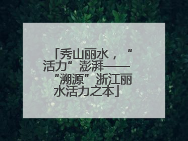 秀山丽水，“活力”澎湃——“溯源”浙江丽水活力之本