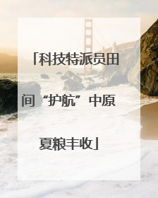 科技特派员田间“护航”中原夏粮丰收
