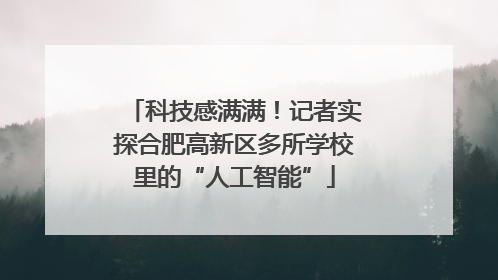 科技感满满！记者实探合肥高新区多所学校里的“人工智能”