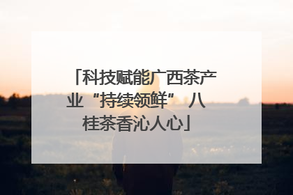 科技赋能广西茶产业“持续领鲜” 八桂茶香沁人心