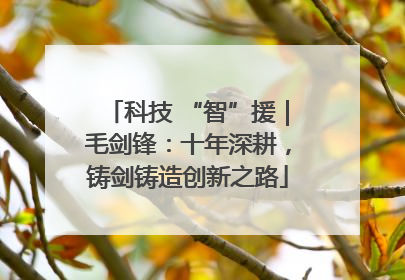 科技 “智”援｜毛剑锋：十年深耕，铸剑铸造创新之路